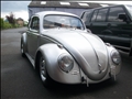 Beetle